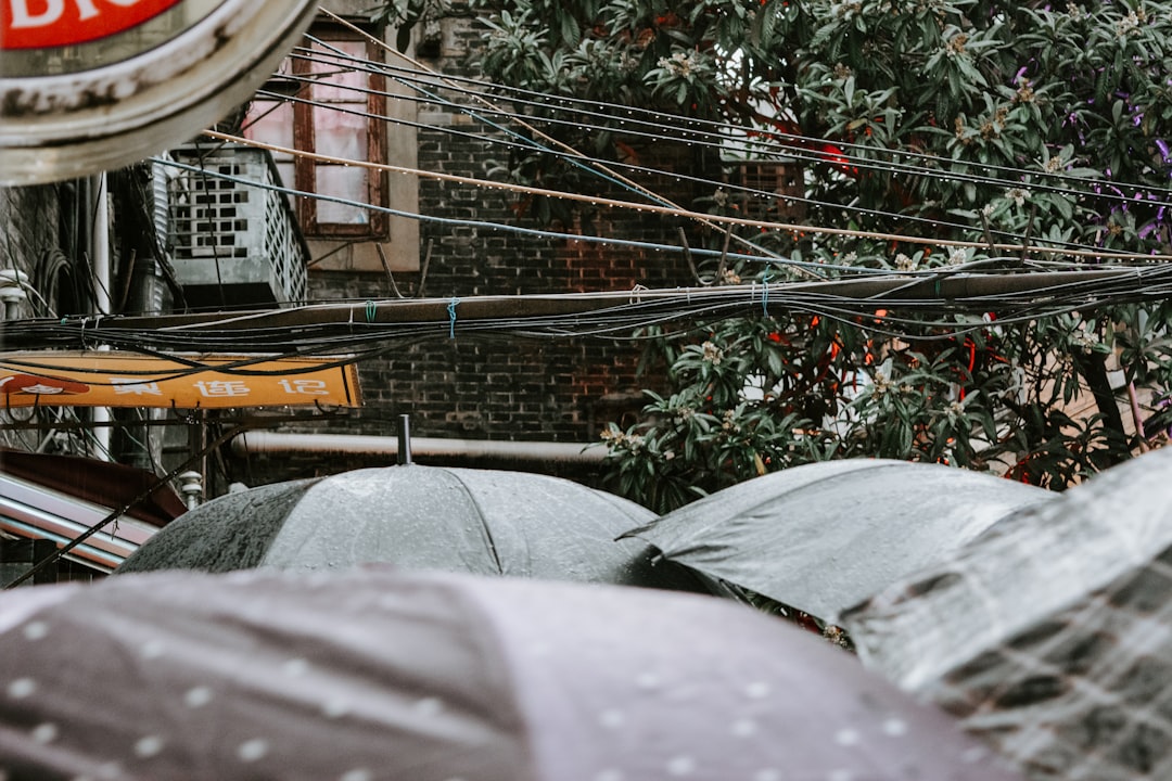 Tianzifang: Shanghai's Artsy Alleyway District (2026 Guide)